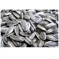 Sunflower seeds