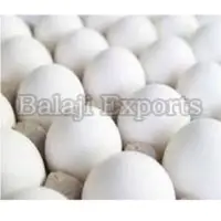Fresh Chicken Eggs
