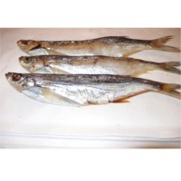 Dried Ziege Fish
