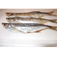 Dried Ziege Fish
