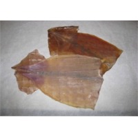 Dried Squid Fillet