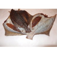 Dried Flounder Fish