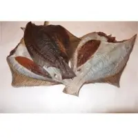 Dried Flounder Fish