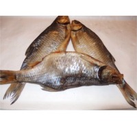 The Roach Fish