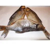 The Roach Fish