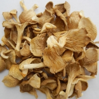 Dried Oyster Mushroom