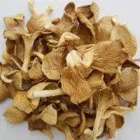 Dried Oyster Mushroom