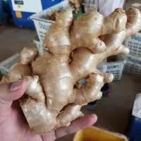 Fresh Ginger