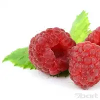 Raspberry Marshmallow Flavour 2.100
