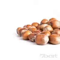 Hazelnut Flavour 1.100