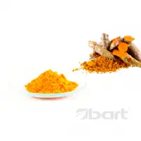 Curcumin 20 Wsp Powder