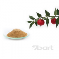 Butcher's Broom Rhizome Dry Extract 5% Sap