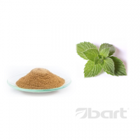 Peppermint Leaf Dry Extract 4:1