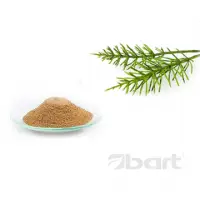 Horsetail Herb Dry Extract (7% Silica)