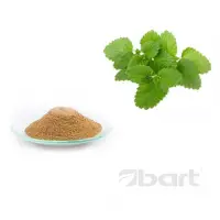 Lemon Balm Leaf Dry Extract 4:1