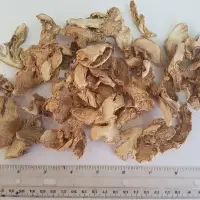 Dried Split Ginger Asta (American Standard)