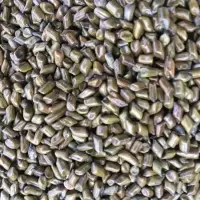 Cassia Sesame Tora Seeds