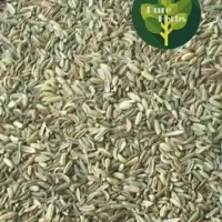 Fennel Seeds