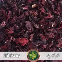 Hibiscus Flower