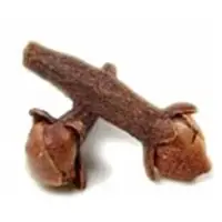 Cloves