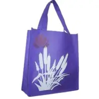 Non Woven Printed Gift Bag