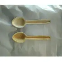 Disposable Areca Leaf Cutlery