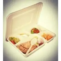 Disposable Food Takeaway Containers