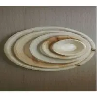 Areca Palm Leaf Round Disposable Plate
