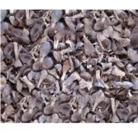 Palm kernel