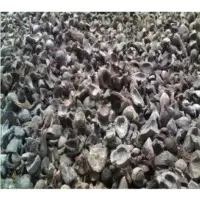 Palm Kernel Shell