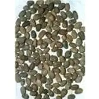 Raw shea nuts