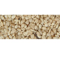 Sesame Seed