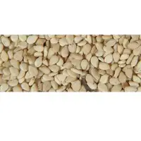 Sesame Seed
