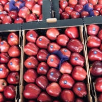 Frehs Red Apples