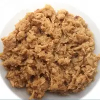 Canned Tuna Shredded In Oil
