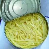 Canned Bamboo Shoot Strip In Water