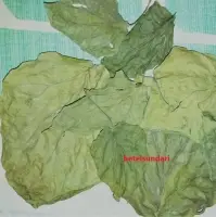 Organic Dry Betel Leaves