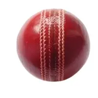 Leather Balls