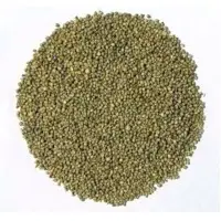 Millet