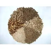 Animal Feed