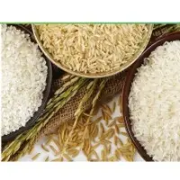 Non Basmati Rice