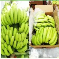 Cavendish Banana