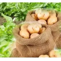Potatoes