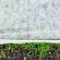 PP Spunbond Non Woven Fabric