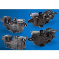 Hayward Pumps