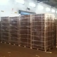 Coco Peat Block