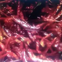 Indian Dry Chilli