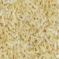 Dehydrated Onion