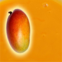 Fruit Pulp