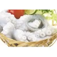 Mollusc